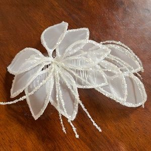 Fancy hair accessory